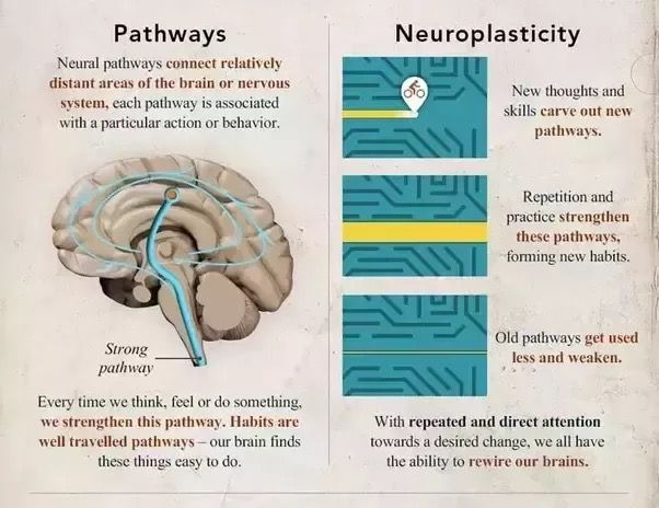 What Happens When You Rewire Your Brain